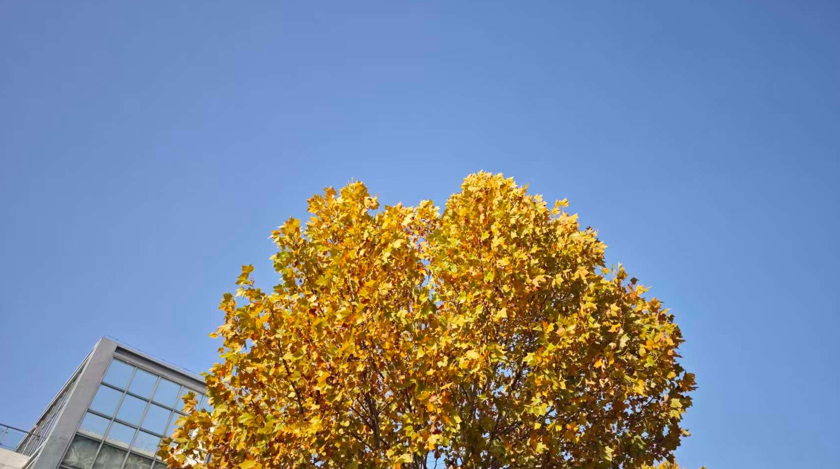 Featured image of post 周末闲聊