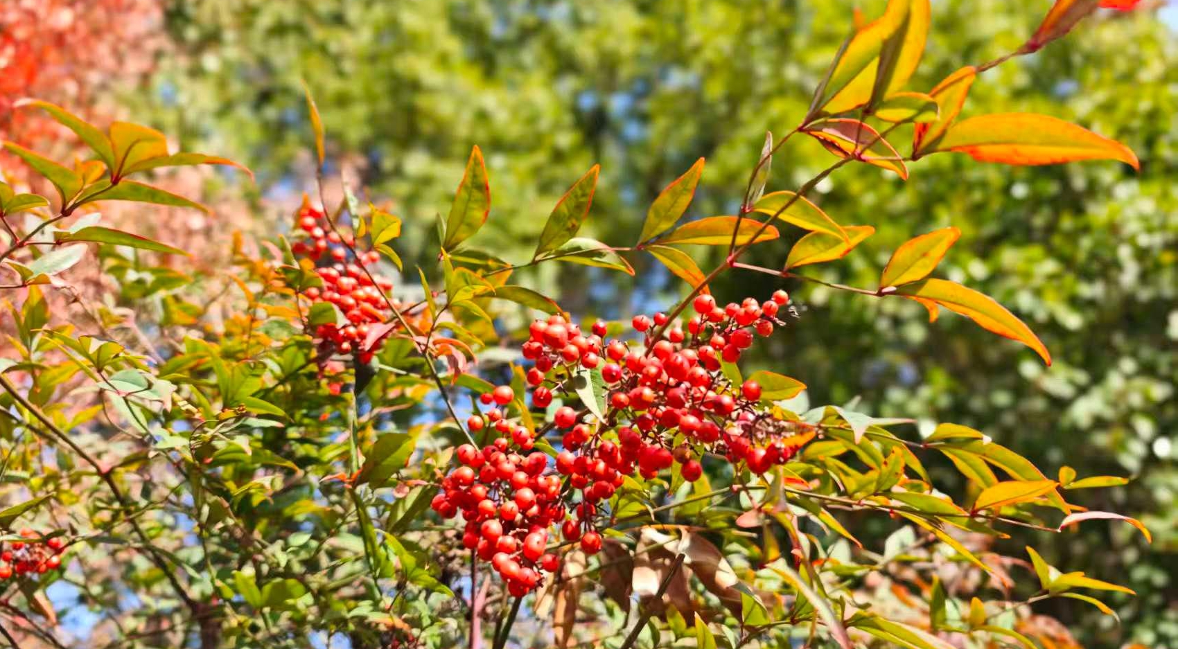 Featured image of post 一锤定音