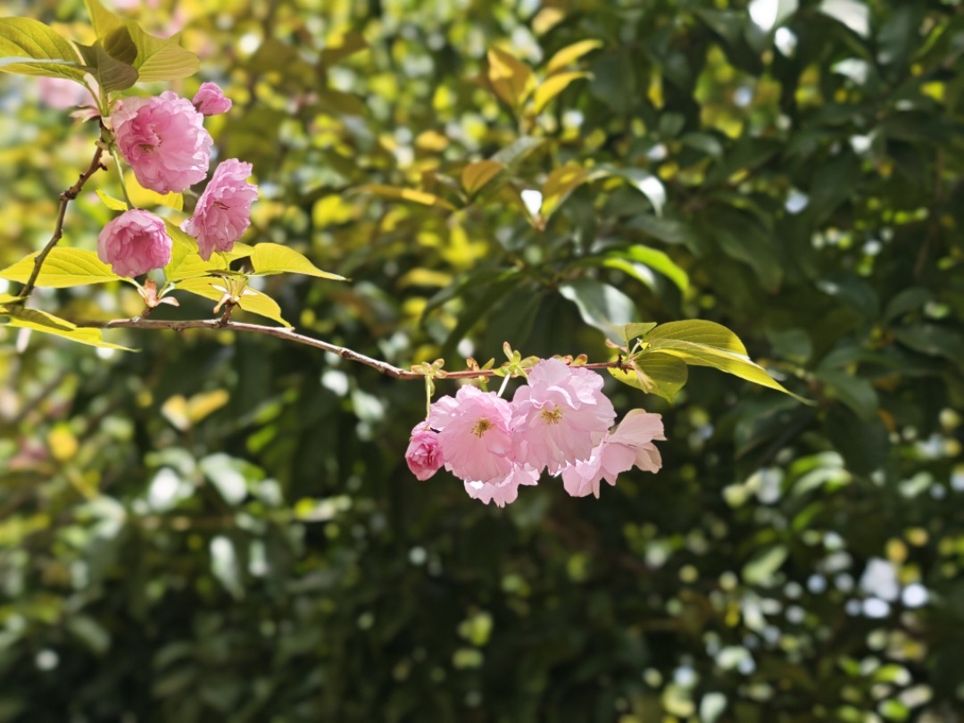 Featured image of post 继续猛干