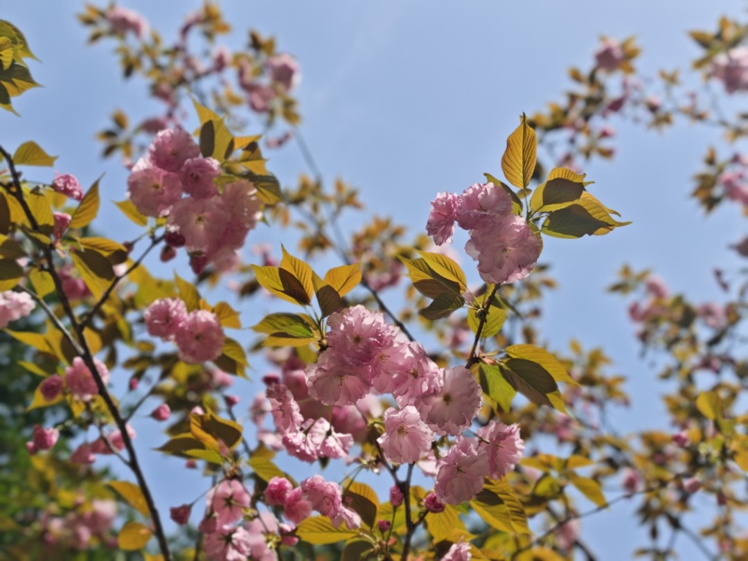 Featured image of post 准备停战谈判+一周回顾