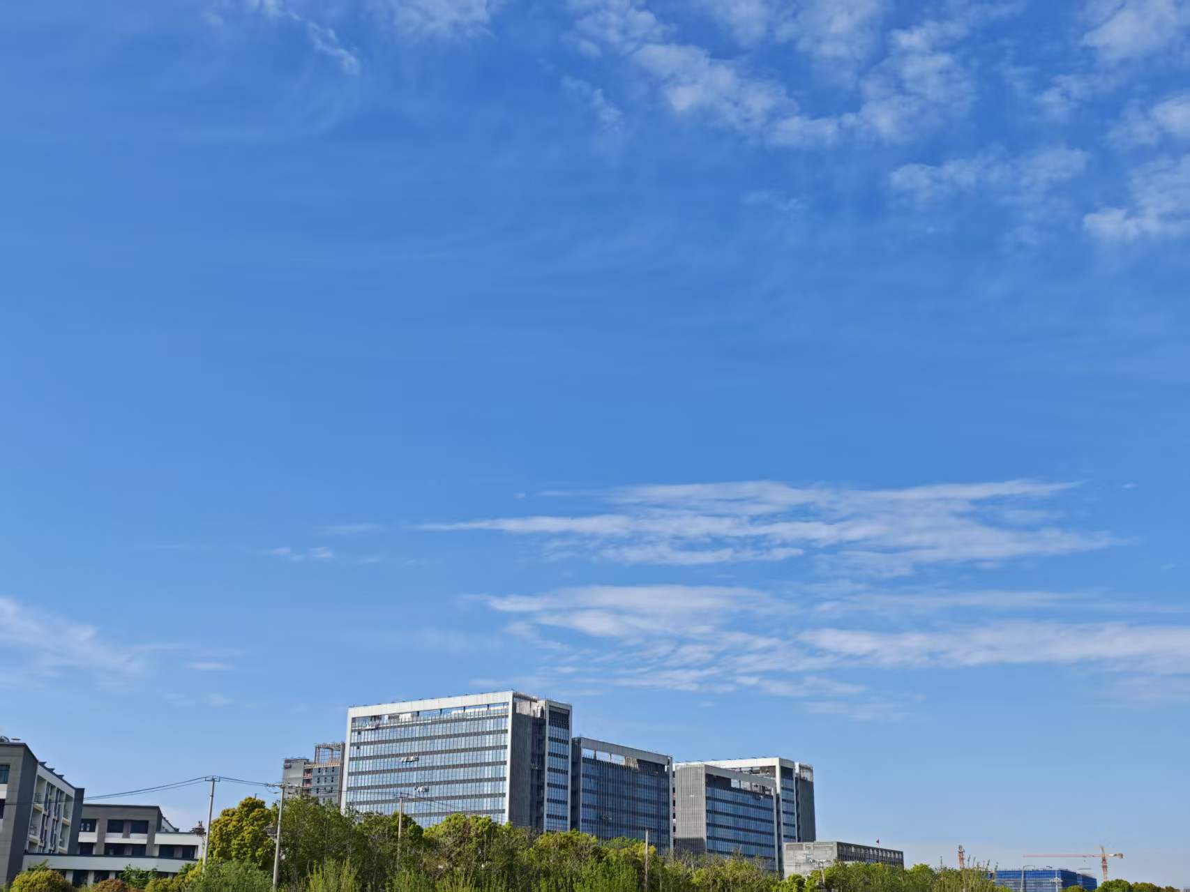 Featured image of post 意料之中的反转又来了