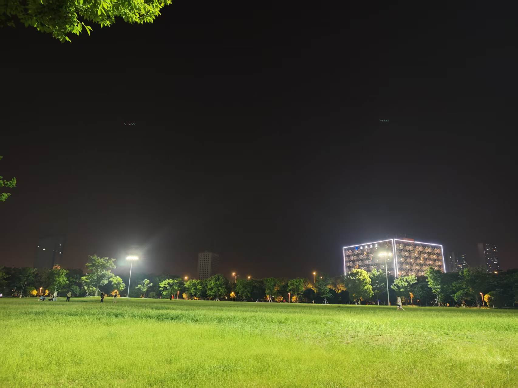 Featured image of post 清理杂毛