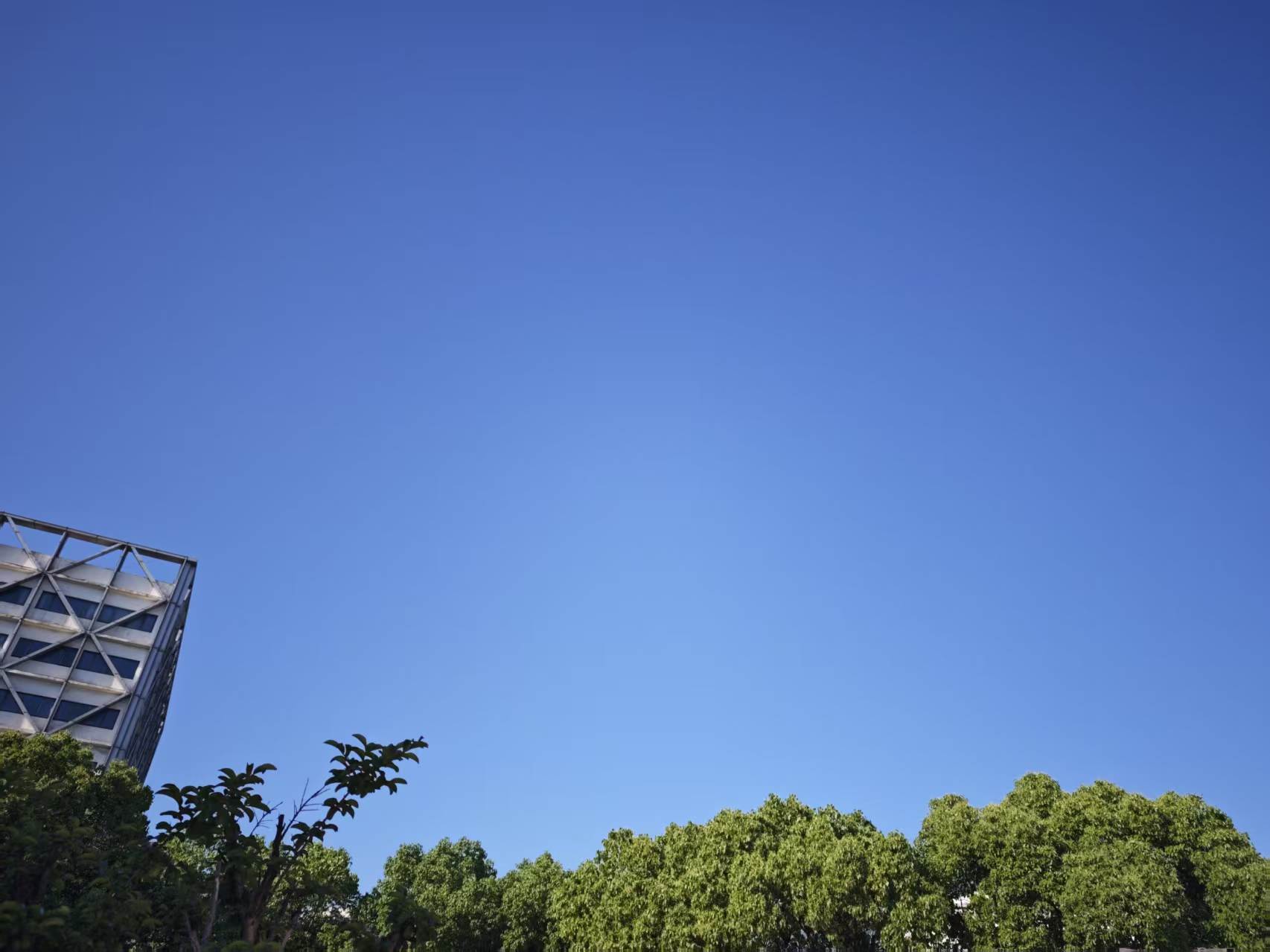 Featured image of post 顺势而为，还是坚持初心？