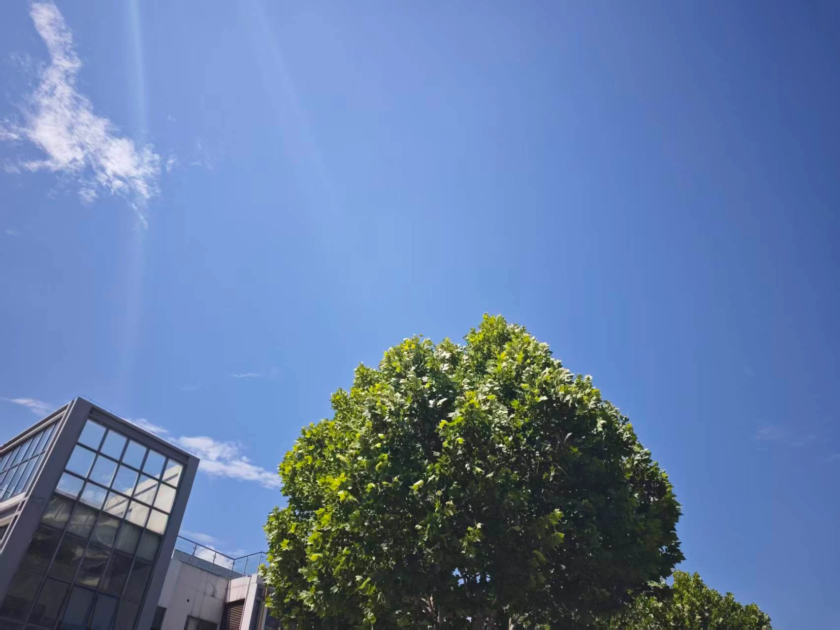 Featured image of post 市场还是那个市场