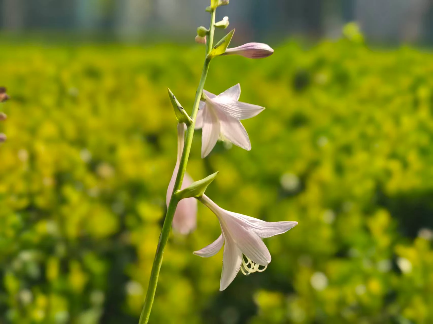 Featured image of post 虽然没签，但是总算达成一致