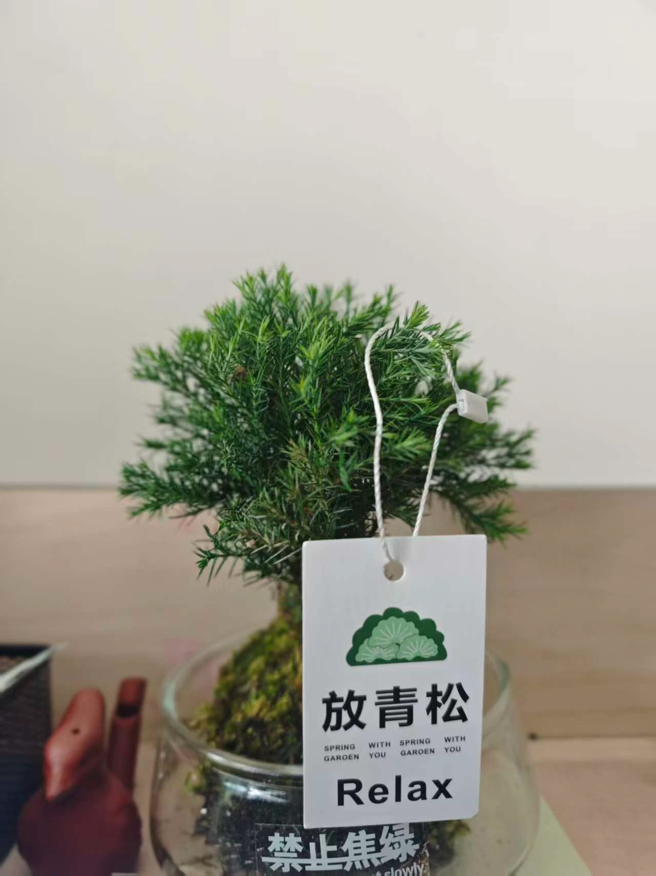 Featured image of post 美伊和谈备忘录签署+一周回顾