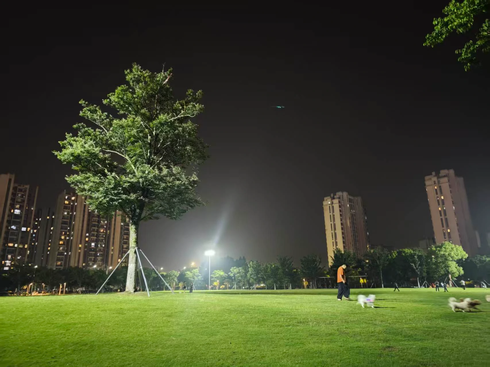 Featured image of post 高位惊恐