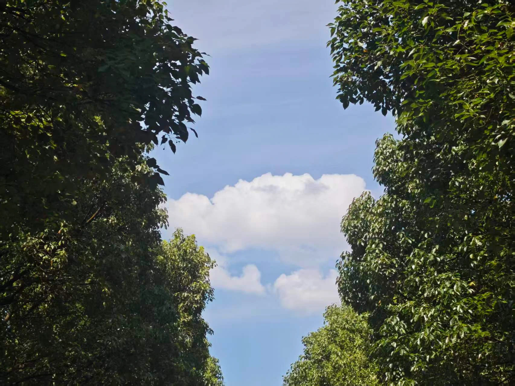 Featured image of post 半导体风暴来了