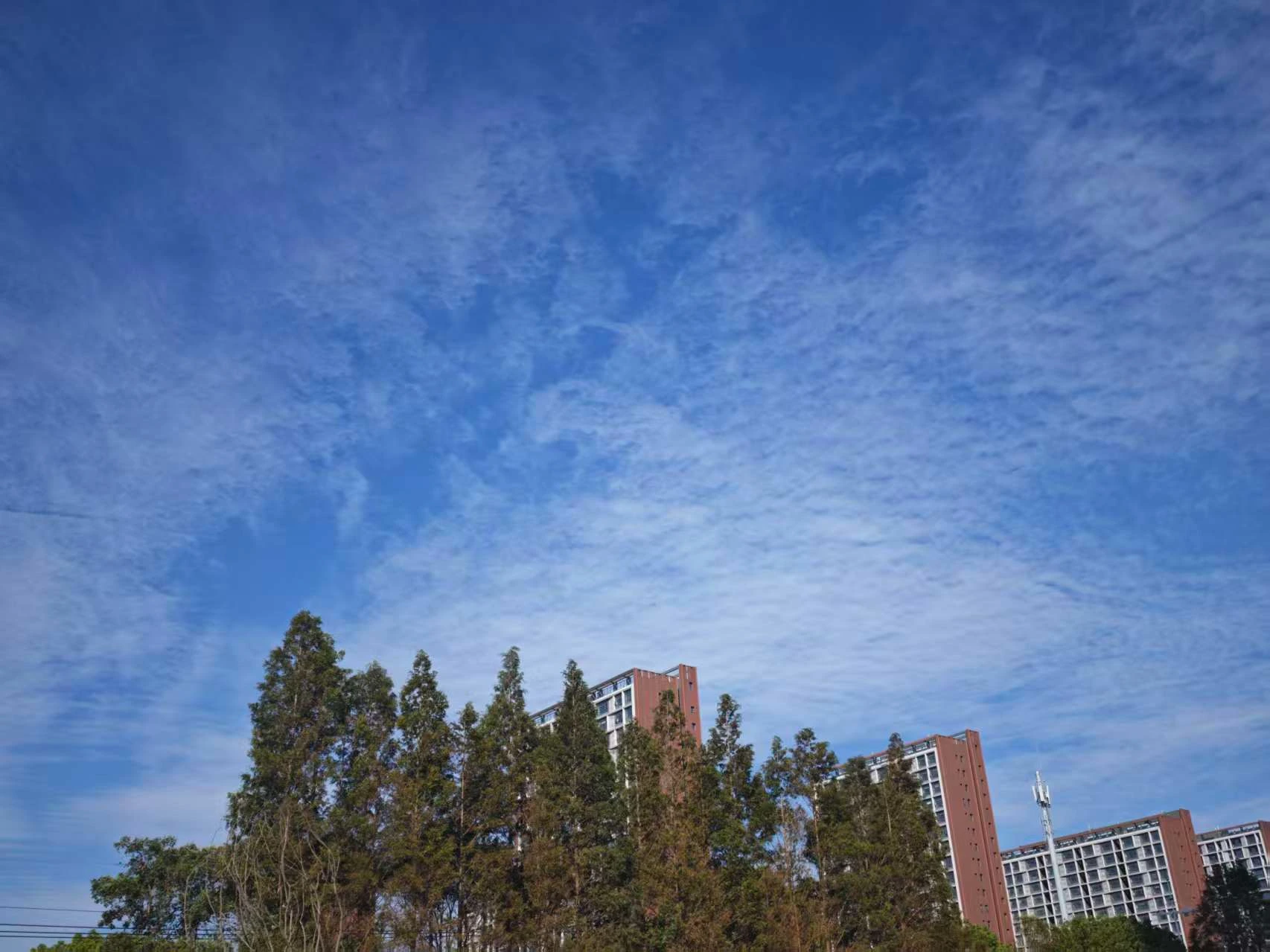 Featured image of post 个心理按摩