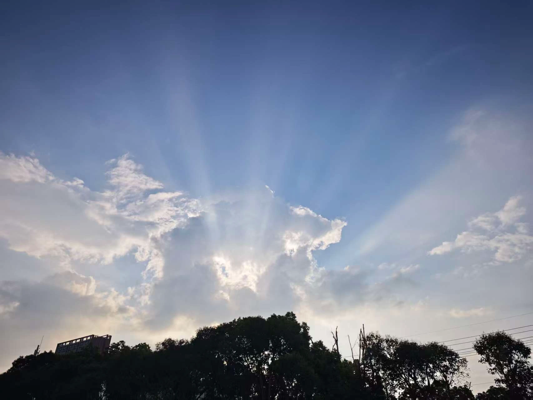 Featured image of post 芯片板块大幅回调