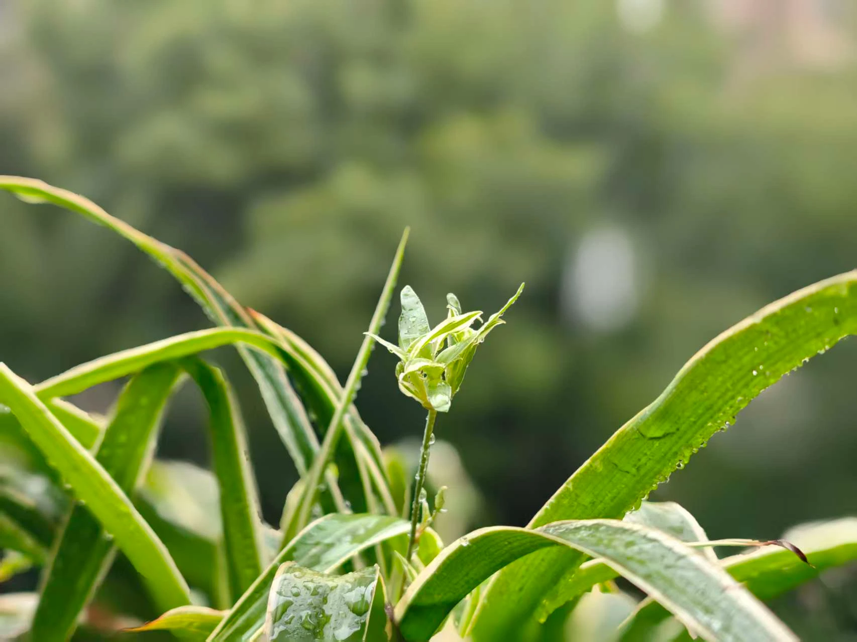 Featured image of post 狂风暴雨中前行