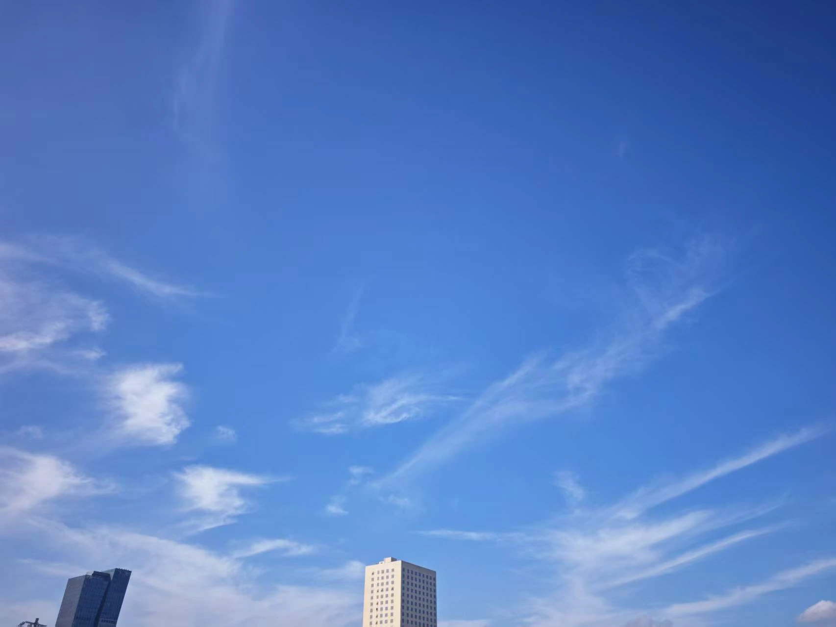 Featured image of post 好家伙，直接干沟里了