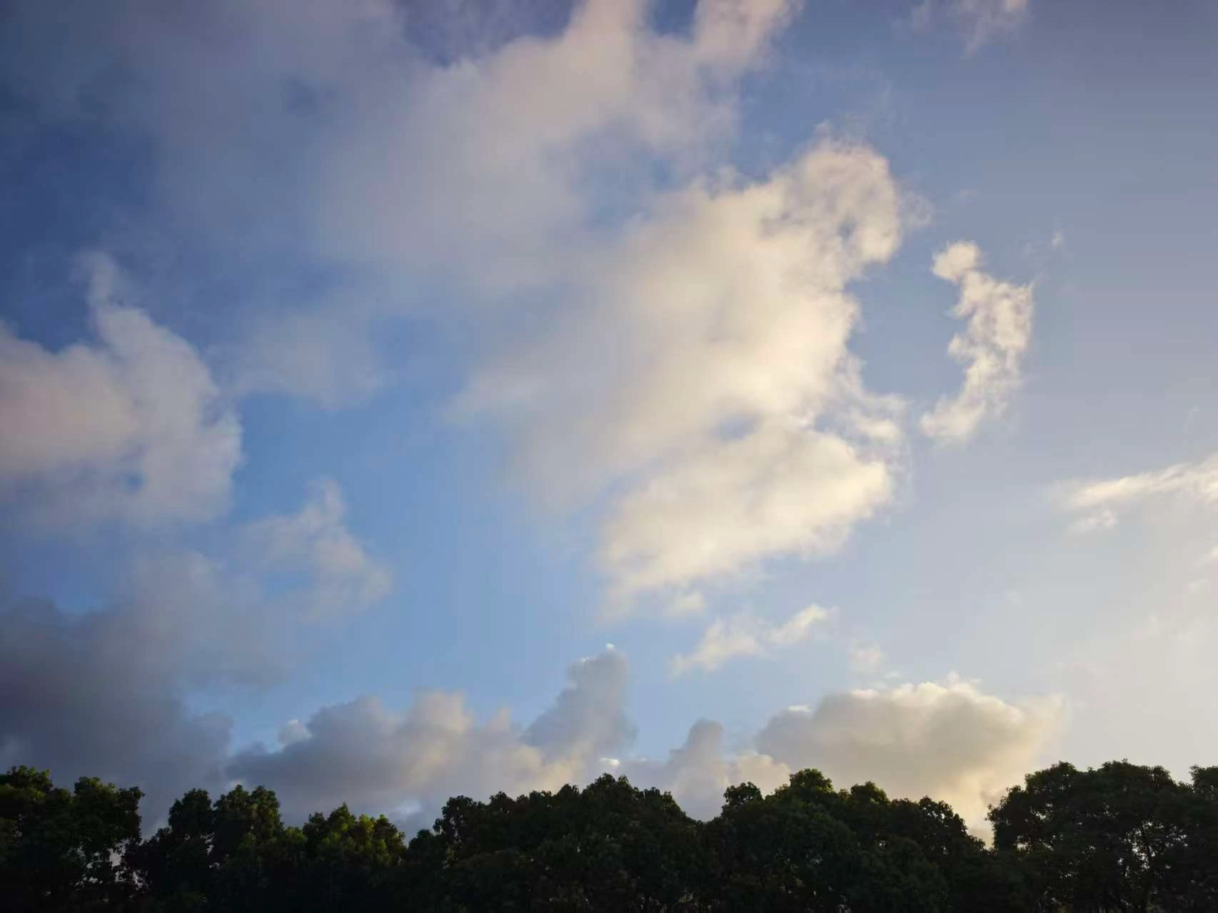 Featured image of post 泥石流