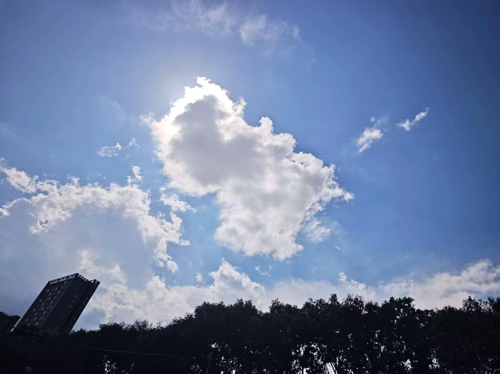 Featured image of post 又干起来了