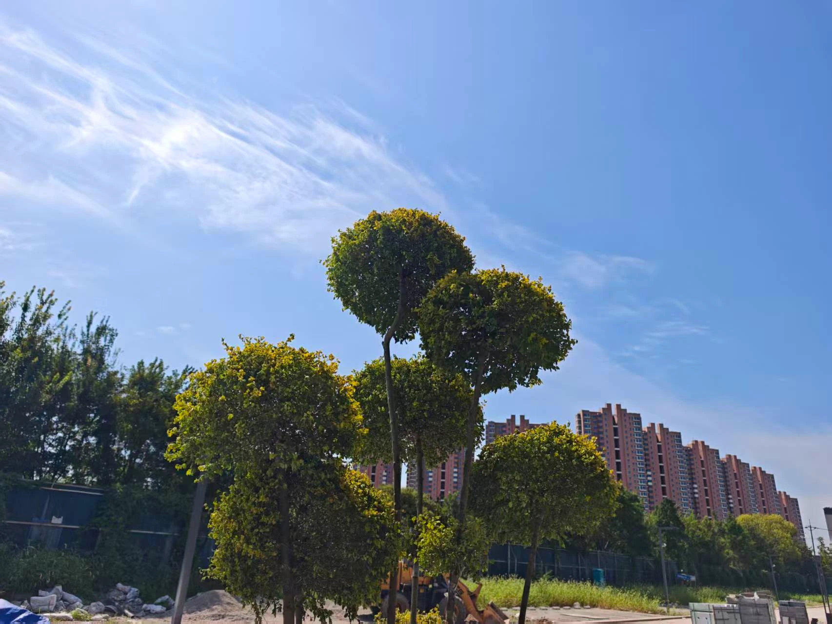 Featured image of post 再次跪下了