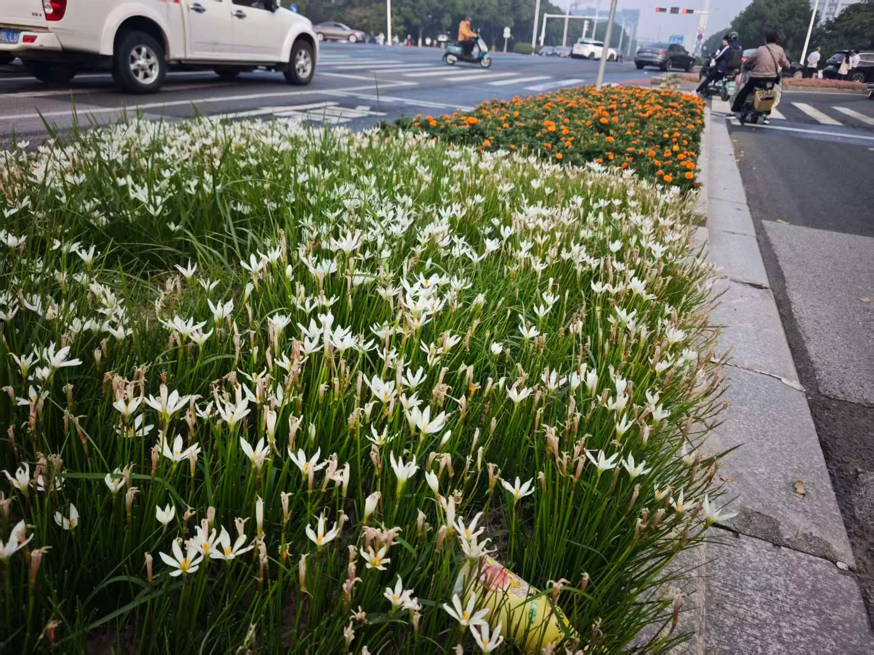 Featured image of post 好家伙，跌没脾气了，是时候考虑下一站了
