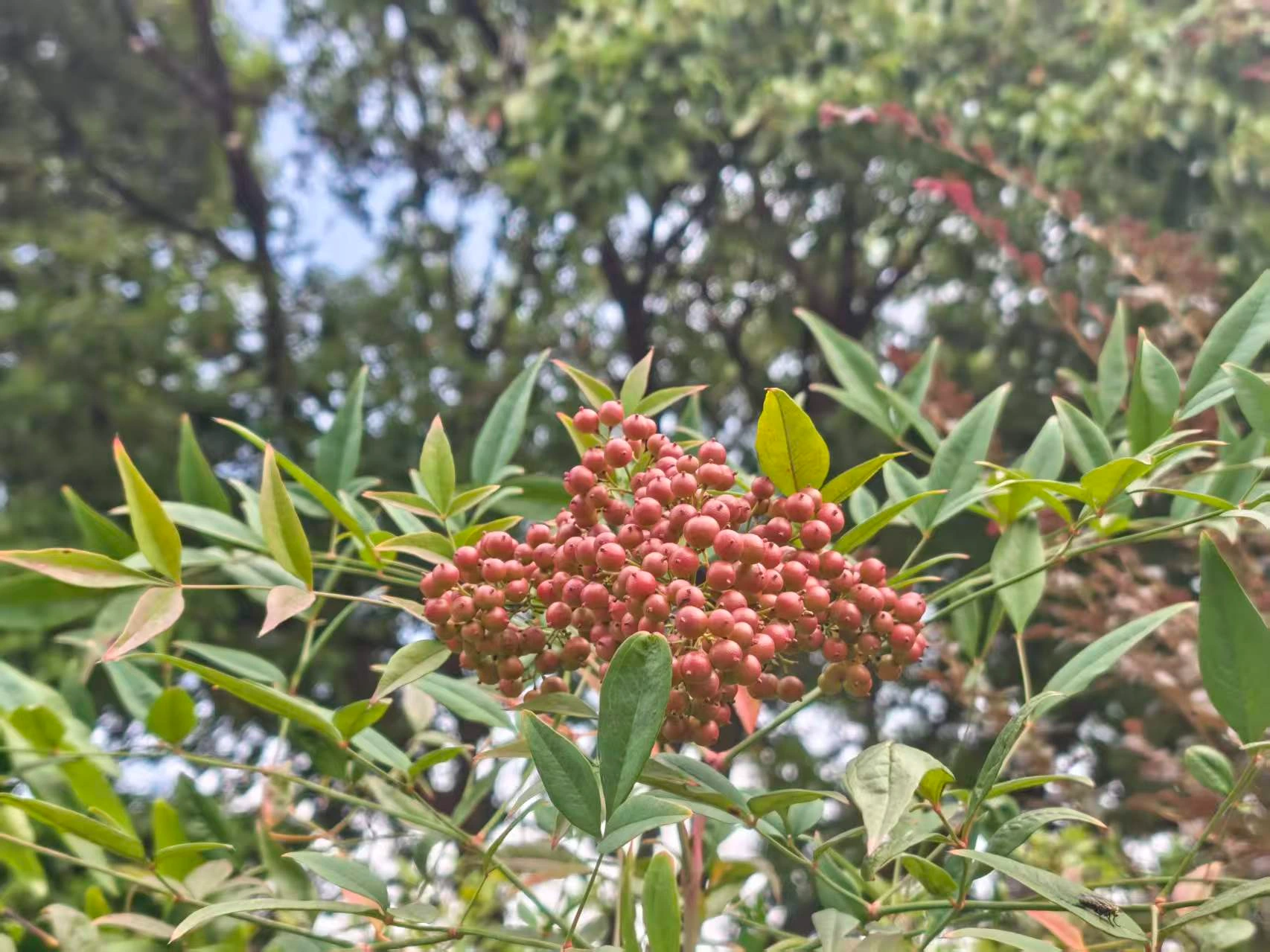 Featured image of post  还是那个尿性，没救了