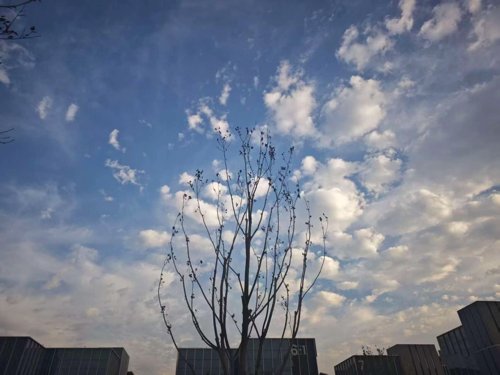 Featured image of post 一周前瞻
