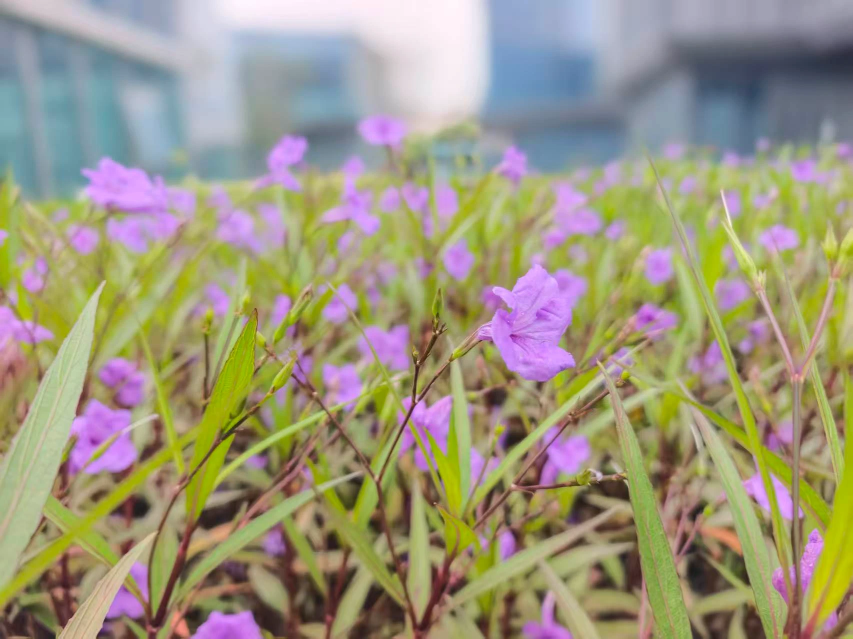Featured image of post 牛市结束，都洗洗睡吧