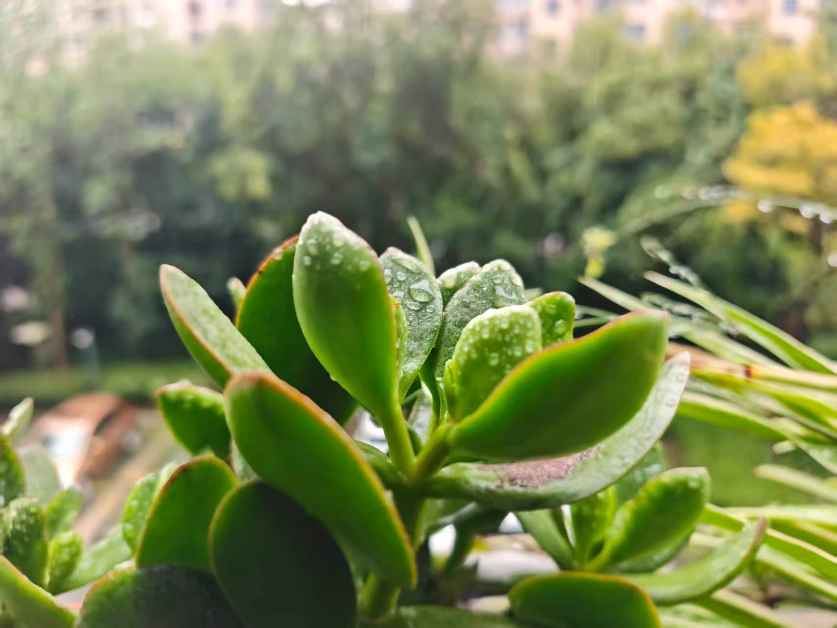 Featured image of post 意料之中，没啥惊喜