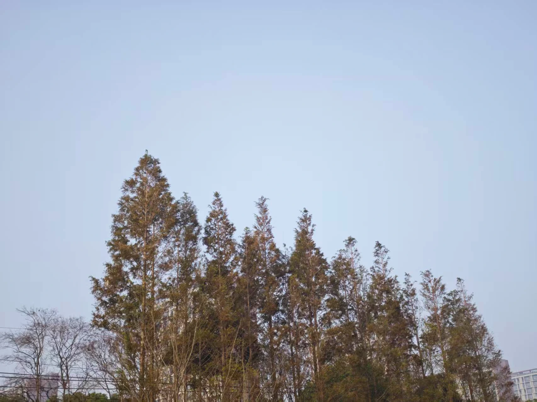 Featured image of post 跌到无感了